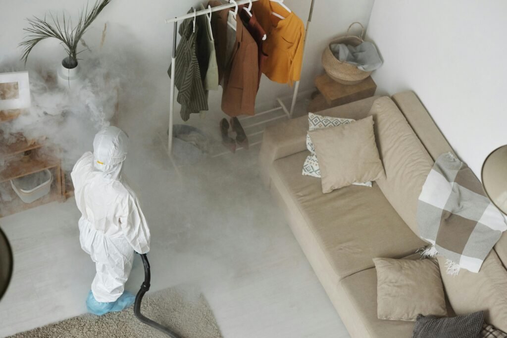 How to Identify Early Signs of a Pest Infestation in Your Home